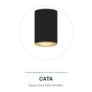 Cata Assos Siyah - Gold Sıva Üstü Dekoratif Armatürü CT-5418