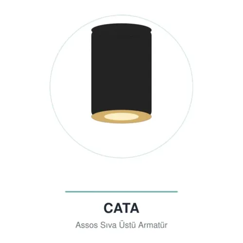Cata Assos Siyah - Gold Sıva Üstü Dekoratif Armatürü CT-5418